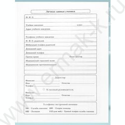 Дневник 1-4кл. /тв.обл./глянец "Милый котик-8" NEW | Фото 3