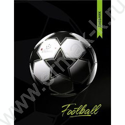 Дневник 1-11кл. /тв.обл./глянец "Футбольный мяч-29" наклейки NEW | Фото 1