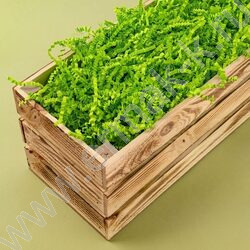 Бумажный наполнитель Зеленая липа  50г ширина 3 мм NEW | Фото 2