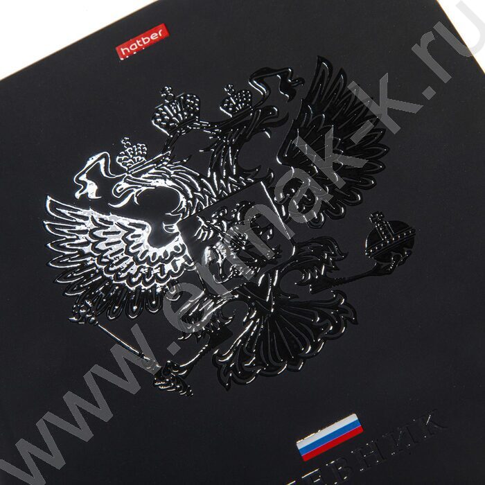 Дневник 1-11кл. /тв.обл./ламинац.Soft-touch 3D лак "Россия- с гимном" NEW | Фото 6