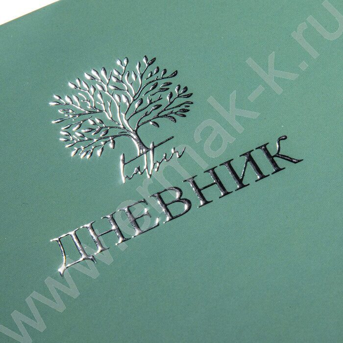 Дневник 1-11кл. /тв.обл./ламинац.Soft-touch 3D фольга "Лаконично" NEW | Фото 5