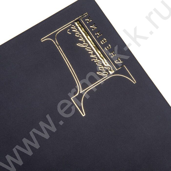 Дневник 1-11кл. /тв.обл./ламинац.Soft-touch 3D фольга "Вдохновляй" NEW | Фото 5