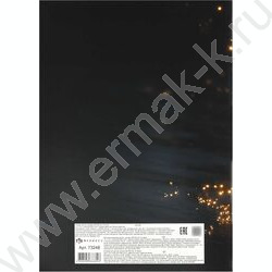 Тетрадь для нот 32л А4 "Светящаяся гитара" NEW | Фото 4