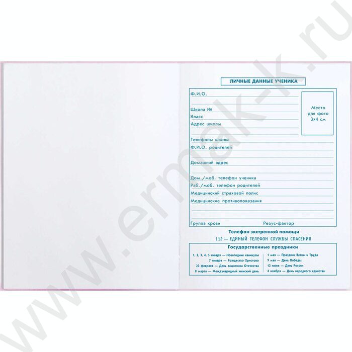 Дневник 1-4кл. /тв.обл./фольга/глянец "Капибара-балерина" NEW | Фото 2