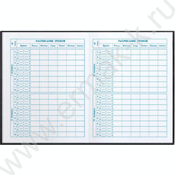 Дневник 1-4кл. /тв.обл./фольга/глянец "Кошачья эстетика" NEW | Фото 7