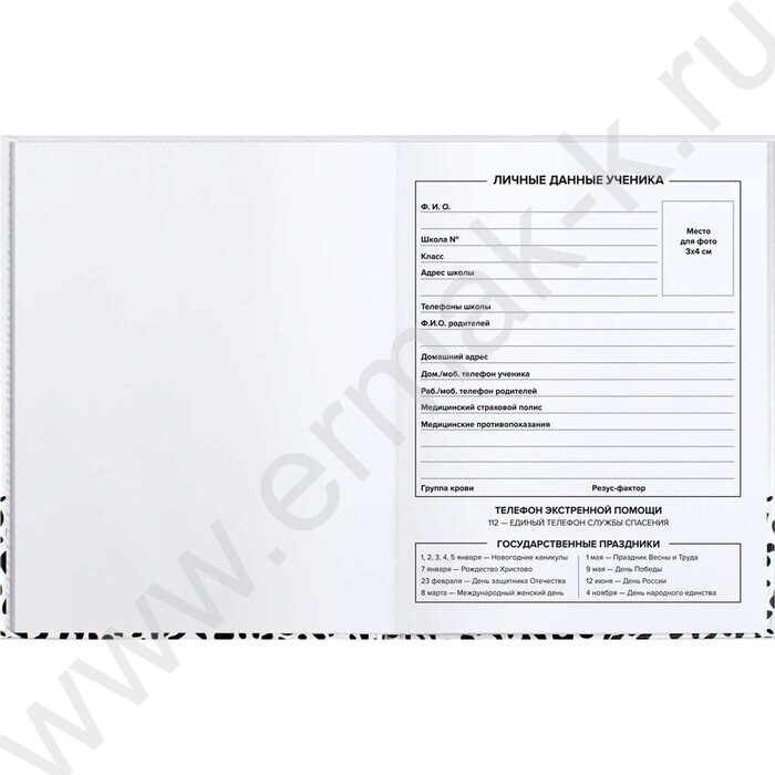 Дневник 1-11кл. /тв.обл./глянец "Мемные стилисты" NEW | Фото 2