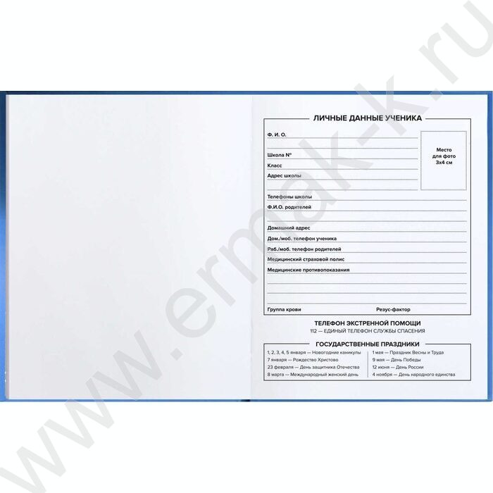 Дневник 1-11кл. /тв.обл./выб. Уф-лак/мат.лам. "Глобус" NEW | Фото 2