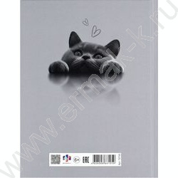 Дневник 1-11кл. /тв.обл./выб. Уф-лак/мат.лам. "Британский кот" NEW | Фото 7