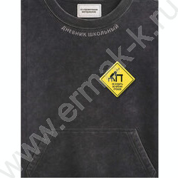 Дневник 1-11кл. /тв.обл./ламинация "софт-тач" вельвет "Фразы с характером" NEW | Фото 1