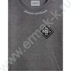 Дневник 1-11кл. /тв.обл./ламинация "софт-тач" вельвет "Фразы с характером" NEW | Фото 1