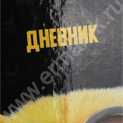 Дневник 1-11кл. /тв.обл./глянец "Забавный котик-5" NEW | Фото 8