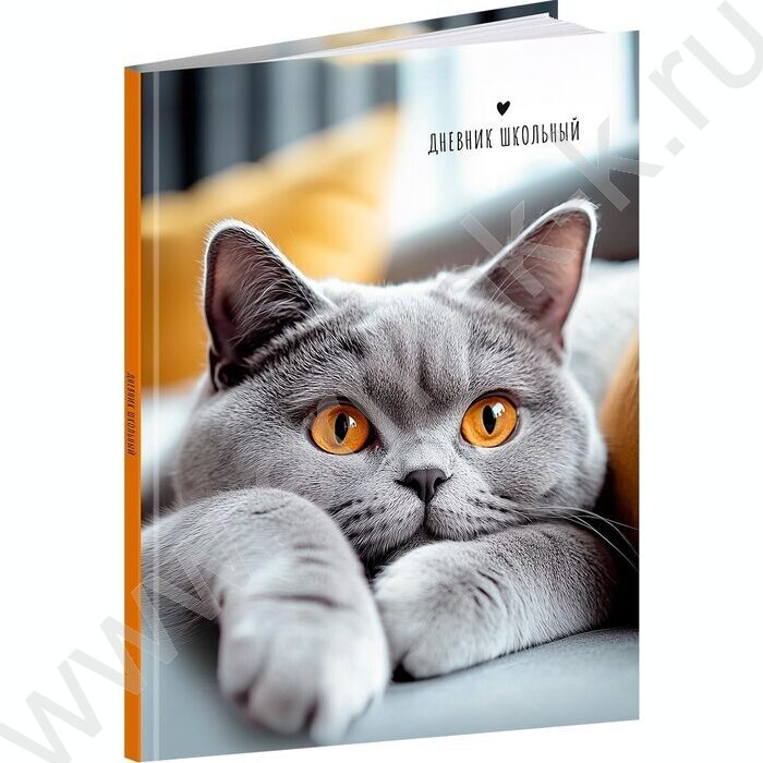 Дневник 1-11кл. /тв.обл./глянец "Серый кот-1" NEW | Фото 1