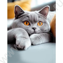 Дневник 1-11кл. /тв.обл./глянец "Серый кот-1" NEW | Фото 7