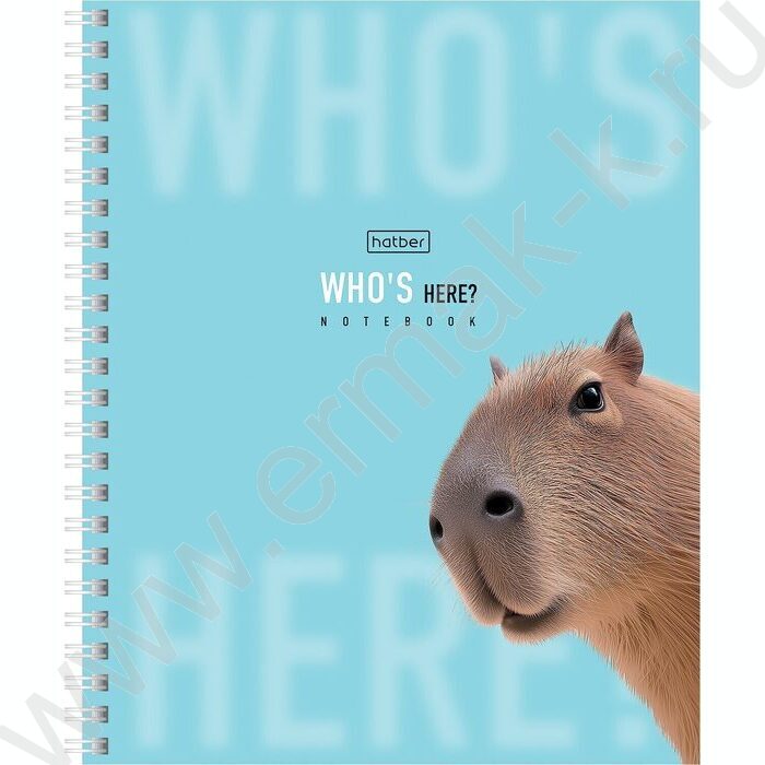 Тетрадь  48л клетка/спираль "Кто здесь?" /перфорация/ламинац.SOFT-TOUCH/4вида NEW | Фото 2