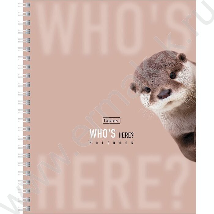 Тетрадь  48л клетка/спираль "Кто здесь?" /перфорация/ламинац.SOFT-TOUCH/4вида NEW | Фото 4