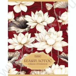 Тетрадь  48л клетка/пластик обл. "Белый лотос" ассорти NEW | Фото 2