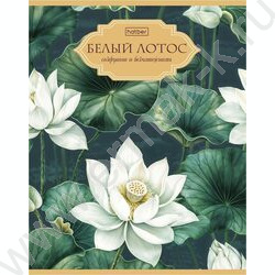 Тетрадь  48л клетка/пластик обл. "Белый лотос" ассорти NEW | Фото 3