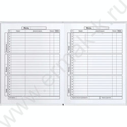 Дневник 1-11кл. /тв.обл./фольга/глянец "Оч пофиг кот" NEW | Фото 5