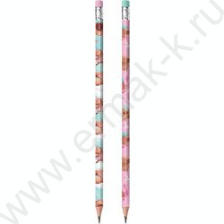 Карандаш ч/гр с ластиком HB Капибара-милашка /тубус NEW | Фото 1