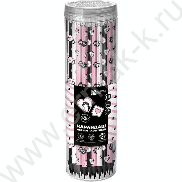 Карандаш ч/гр с ластиком HB Кошачья эстетика /тубус NEW | Фото 2