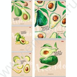 Тетрадь  48л клетка "Авокадомания-1" ассорти NEW | Фото 1