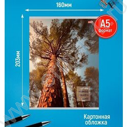 Тетрадь  48л клетка "Природный микс" ассорти NEW | Фото 3