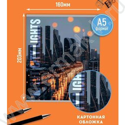 Тетрадь  48л линейка "Виды мегаполиса" ассорти NEW | Фото 4