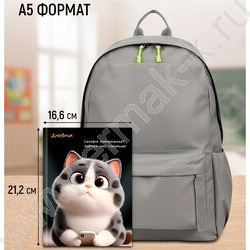 Дневник 1-11кл. /тв.обл./глянец/лен "Смешной котик" NEW | Фото 7