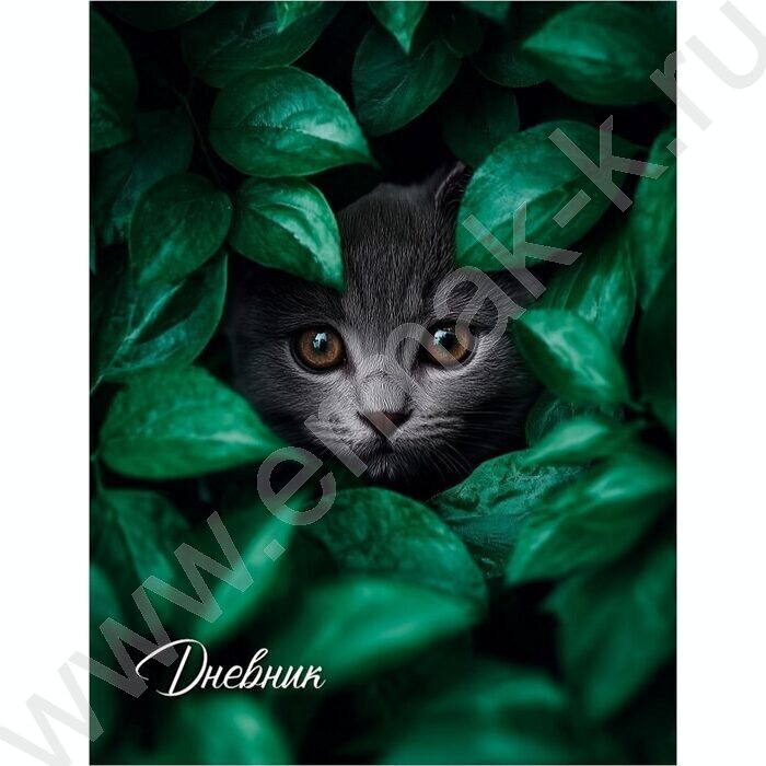 Дневник 5-11кл. /тв.обл./глянец "Кот в листьях" NEW | Фото 1
