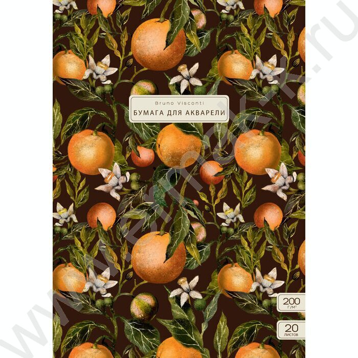 Папка д/акварели А3 20л 200г/м2 "Flora.Paradise.Oranges" NEW | Фото 1