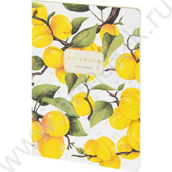 Тетрадь  40л клетка "Flora.Paradaise.Абрикосы" 70 г/м2 бежевая бумага NEW | Фото 1