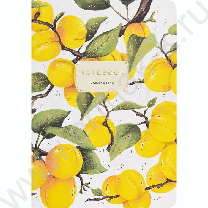 Тетрадь  40л клетка "Flora.Paradaise.Абрикосы" 70 г/м2 бежевая бумага NEW | Фото 2