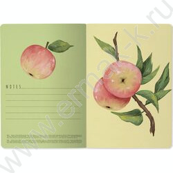 Тетрадь  40л клетка "Flora.Paradaise.Яблоки" 70 г/м2 бежевая бумага NEW | Фото 6