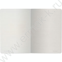 Тетрадь  40л линейка "Flora.Paradaise.Oranges" 70 г/м2 бежевая бумага NEW | Фото 4