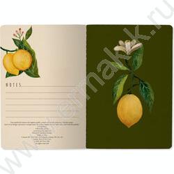 Тетрадь  40л линейка "Flora.Paradaise.Лимоны" 70 г/м2 бежевая бумага NEW | Фото 3