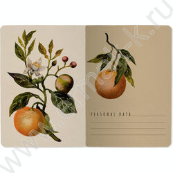 Тетрадь  32л А6 линейка "Flora.Paradaise.Oranges" 70 г/м2 бежевая бумага NEW | Фото 3