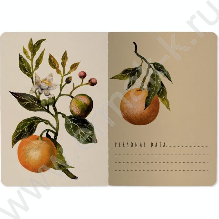 Тетрадь  32л А6 линейка "Flora.Paradaise.Oranges" 70 г/м2 бежевая бумага NEW | Фото 3