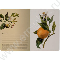 Тетрадь  32л А6 линейка "Flora.Paradaise.Oranges" 70 г/м2 бежевая бумага NEW | Фото 5