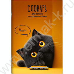 Тетрадь 24л А5 д/записей иностранных слов "Кот с телефоном" NEW | Фото 1