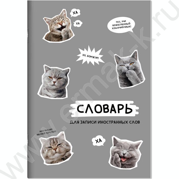 Тетрадь 24л А5 д/записей иностранных слов "Стикеры с котами" NEW | Фото 1