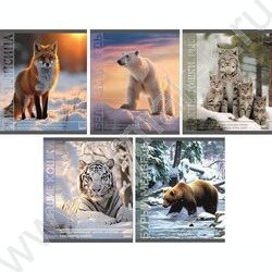 Тетрадь  48л клетка "Животные" /мел.карт. /ассорти NEW | Фото 1