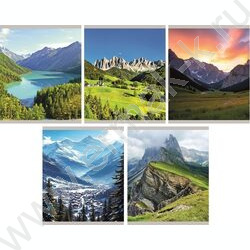 Тетрадь  48л клетка "Природа" /мел.карт. /ассорти NEW | Фото 1