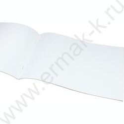 Альбом д/рисования  8л "Милый тигренок-1" NEW | Фото 2