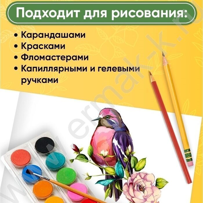 Альбом д/рисования-склейка 32л "Цветочный паттерн-13" NEW | Фото 5