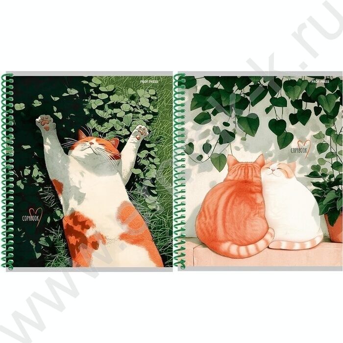 Тетрадь  96л клетка/спираль "Солнечные котики" ассорти NEW | Фото 1