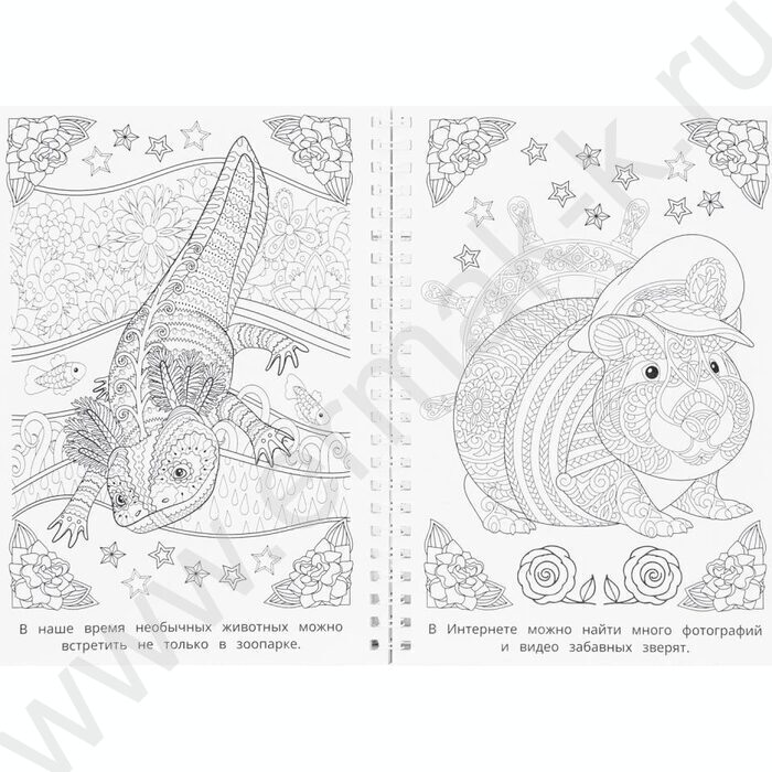 Раскраска антистресс.Мир природы NEW | Фото 3