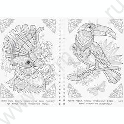 Раскраска антистресс.Мир природы NEW | Фото 5