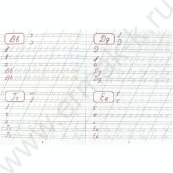 Пропись А5 Каллиграфическая.Пишем буквы и цифры NEW | Фото 2