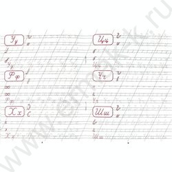 Пропись А5 Каллиграфическая.Пишем буквы и цифры NEW | Фото 3