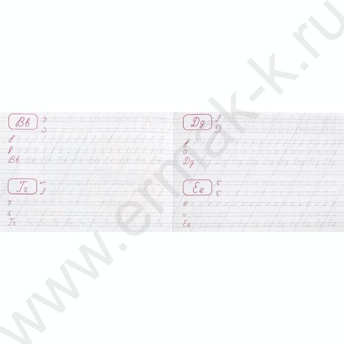 Пропись А5 Каллиграфическая.Пишем буквы и цифры NEW | Фото 2